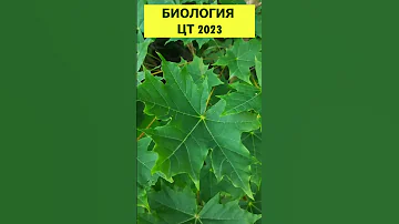 Биология * Типы жилкования листьев 🍁 ЦТ-2023 #урок #цт2023 #подготовкакцт #цтбиология #биология #цт