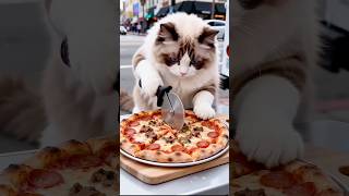 Exclusive!My cat chef makes delicious pizza from scratch#cat #pets #catlovers #foodie #funny #video