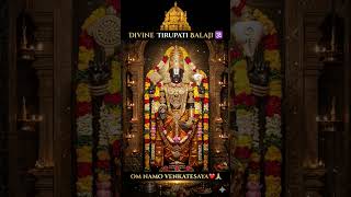 OM NAMO VENKATESAYA | TIRUPATI BALAJI |TIRUMALA
