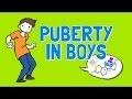 Understanding Puberty for Boys
