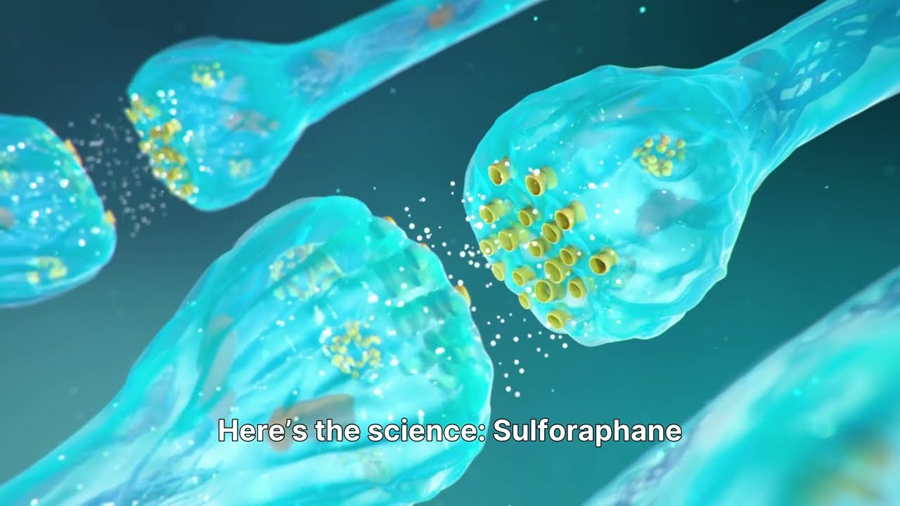 Sulforaphane & Longevity: Nrf2 Activation, Detox Pathways & Anti-Aging Science Explained