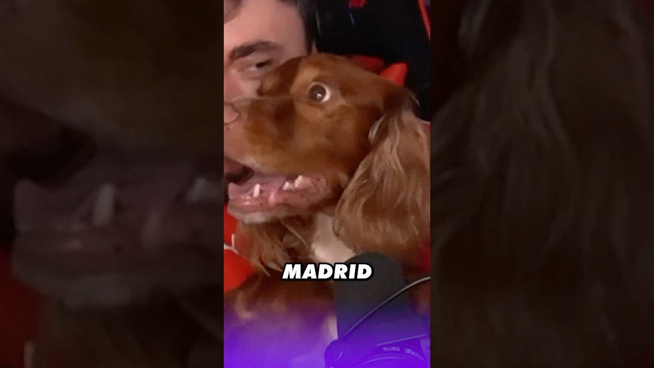 Are you a fan? 🤔🇪🇸