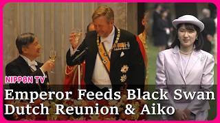 Emperor shares story about a 20-year Dutch reunion that moved Princess Aiko too