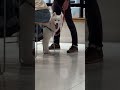 Waiting is fun when u see husky dog #husky