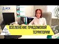 Озеленение придомовой территории многоквартирного дома ✔вырубка деревьев ✔нормы посадки 🔷АСК