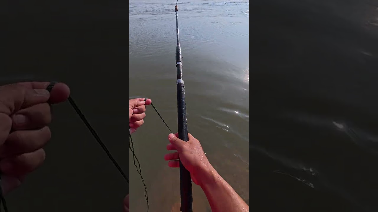 วิถีชีวิตริมฝั่งโขงยามเบ็ดเหยื่อปลาดุก