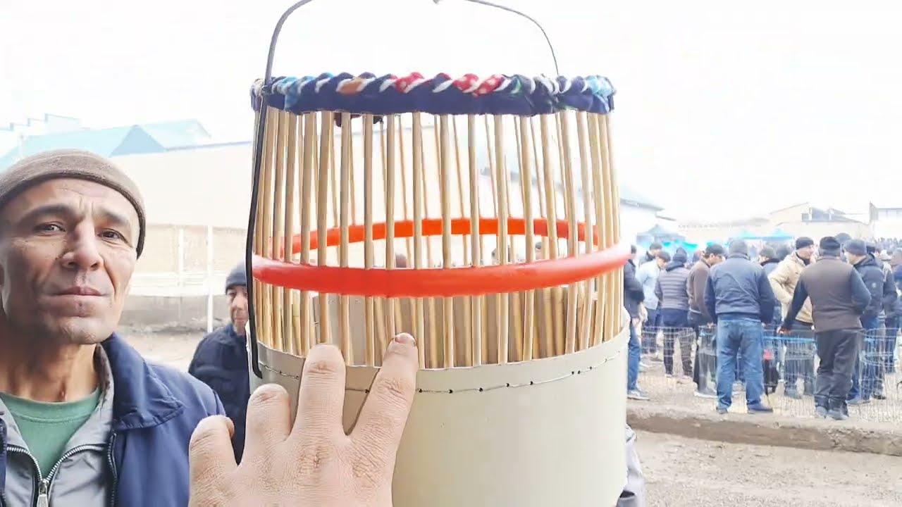 НАМАНГАН РМК КУШ БОЗОР