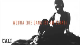 Danju - Wooha Die Gang Ist Am Start - Cali Mixtape