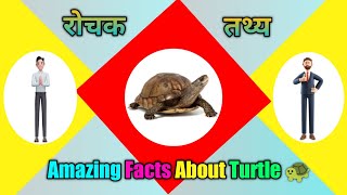 Amazing Facts About Turtle 🐢 // कछुओं के बारे में रोचक तथ्य
