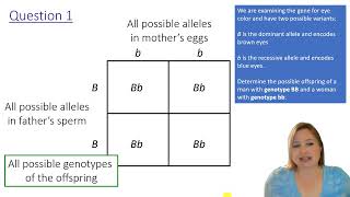 How to use a Punnett Square (with genetics practice questions) Profile