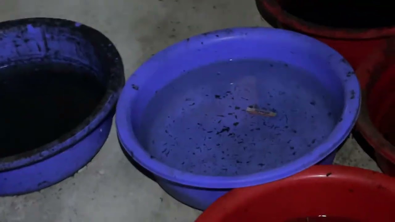 Nhà Yến làm bê tông  |làm gì khi chim không bám và không làm được tổ|Lh.0987061988