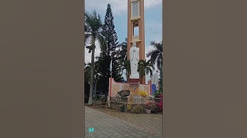 HÀNH TRÌNH HÀNH HƯƠNG LẦN 9 || NHÀ THỜ  SUỐI CÁT - GP XUÂN LỘC