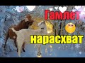 Какая свадьба без драки🤦‍♀️//Лиля пострадала//Расскажите про сушилку🙏//Мышам нет❗//Стеша блогер