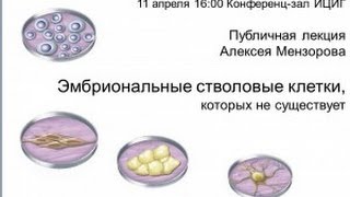 Эмбриональные стволовые клетки, которых не существует(Лекция Алексея Мензорова «Эмбриональные стволовые клетки, которых не существует» из серии публичных лекц..., 2013-01-27T07:13:59.000Z)