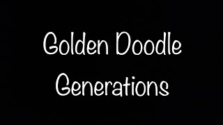 Golden Doodle Generations