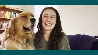 Talk with a therapist