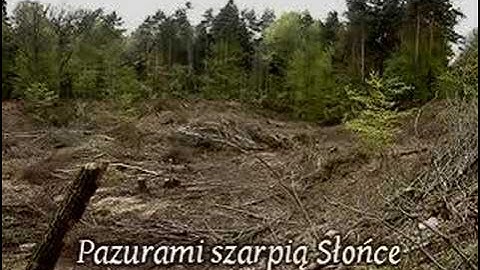 Current 93 - The Descent of Long Satan and Babalon (PL)