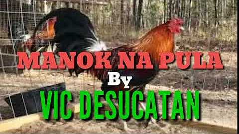 Manok na Pula by Vic Desucatan