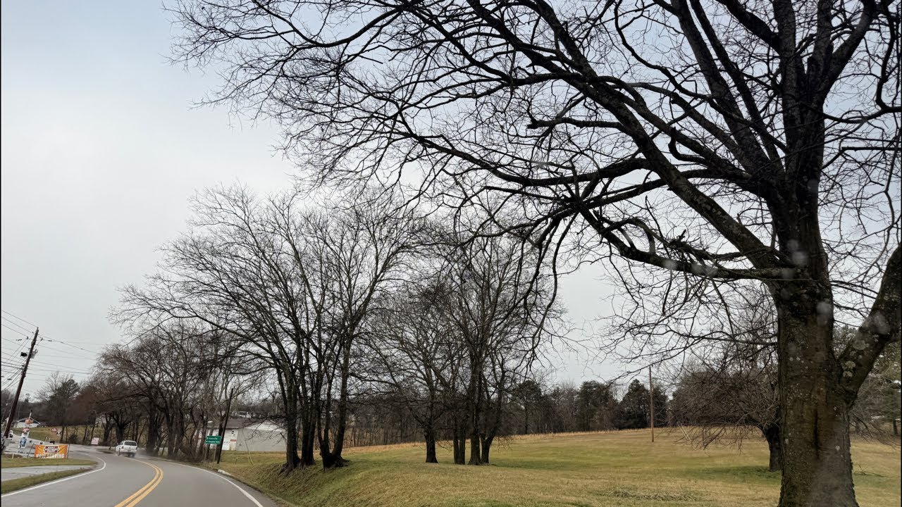 The Daily Live Drive in the Smoky Mountains