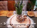 Пасхальный Декор своими руками/ 5 идей/DIY весенний декор