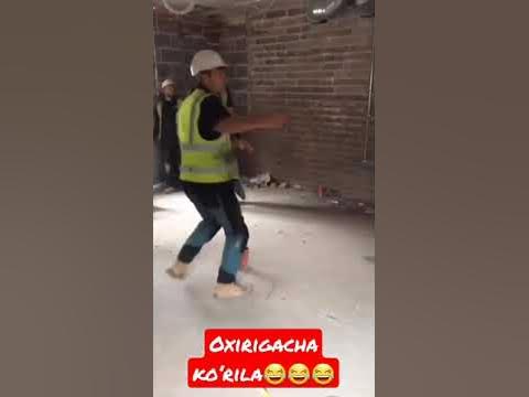 kulgili video - YouTube