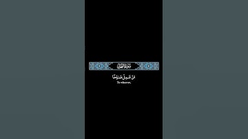 فلنحيينه حياة طيبة #عبدالرحمن_مسعد #quran #surah #tilawat #اكسبلور #راحة_نفسية #تلاوة_خاشعة