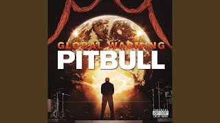 Video thumbnail of "Pitbull - Everybody Fucks"