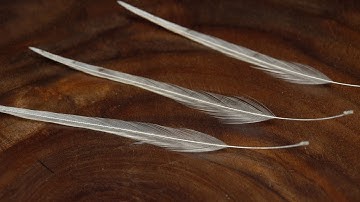 Hackle Feather Tie in, 3 Ways
