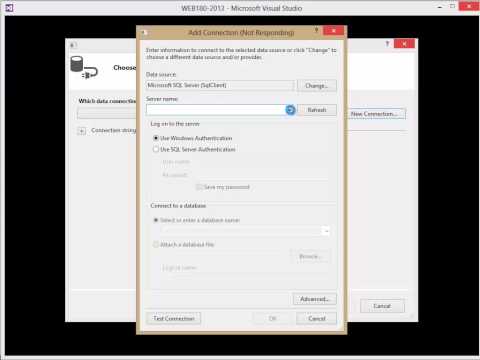 Connecting To the Database from Visual Studio