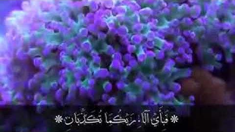 { رَبُّ الْمَشْرِقَيْنِ وَرَبُّ الْمَغْرِبَيْنِ } [ سورة الرحمن : 17 ]