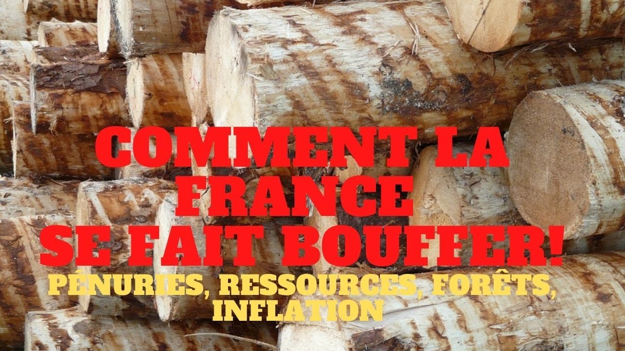Comment la France se fait bouffer! Pénuries, forêts, ressources, inflation