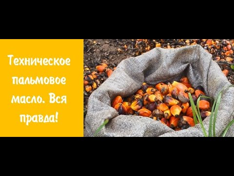 Техническое пальмовое масло  Вся правда!
