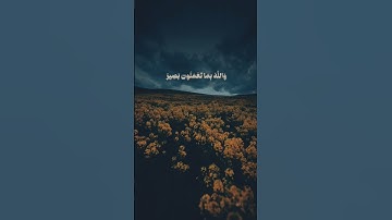 لن تنفعكم أرحامكم|علي جابر #تلاوة #تلاوة_مميزة #تلاوة_خاشعة #قرآن #اكسبلور