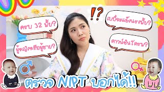 👶🏻💘 เบบี๋จะปลอดภัยมั้ย? ลูกเพศอะไร? ตรวจ nipt คืออะไร? จำเป็นมั้ย? #padiebabybump | icepadie