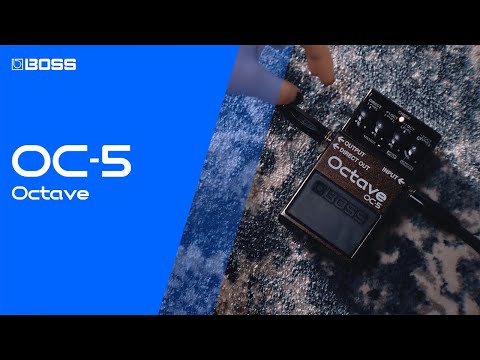 BOSS OC-5 OCTAVE - The New Standard In Octave Pedals