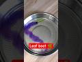 Leaf tricks 🌿😱 #shorts #youtubeshorts #trending #viral