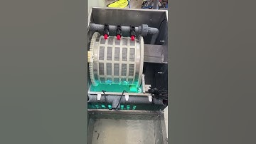 DIY home koi pond drum filter, stainless steel material with 4 layer filter functions #machine #koi