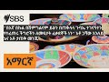 &quot;በእኛ በኩል በሽምግልናም ይሁን በጠቅላላ ጉባኤ ተገናኝተን የተፈጠሩ ችግሮችን ለመፍታት ፈቃደኞች ነን&quot; አቶ ጋሻው አንለይ እና አቶ ታጠቅ መንጂ |...