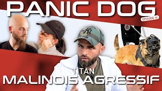 This AGGRESSIVE MALINOIS was CONDEMNED  Panic Dog Ep12