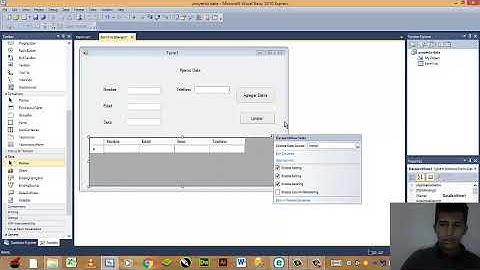 Visual Basic como usar un DataGridView y llenarlo