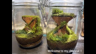 Moss in the glass tank(Part 2） - 儲物罐中製作苔蘚景觀 - (No.8：20240220)