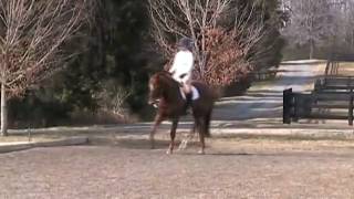 Bruno Flatwork
