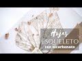 HOJAS ESQUELETO con Bicarbonato sódico - RÁPIDO y RENOVADO (Skeleton Leaf DIY)