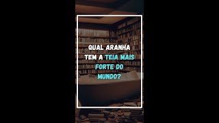 Qual Aranha Tem A Teia Mais Forte Do Mundo?