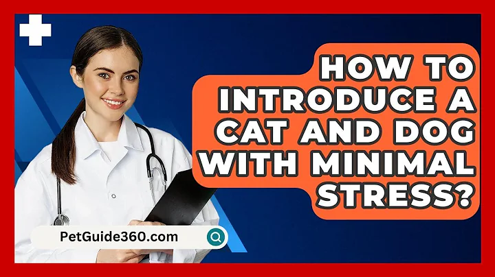 How To Introduce A Cat And Dog With Minimal Stress? - PetGuide360.com