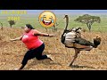 2024 Year in Review 😄 Best Funny Videos of the Year