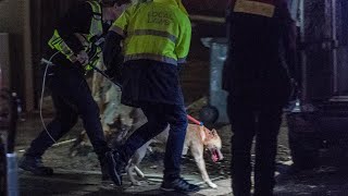 Melbourne man mauled to death in horror dog attack
