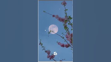 Thumbnail of Love Nature with romantic song 🥰❤️😍 #shorts #nature