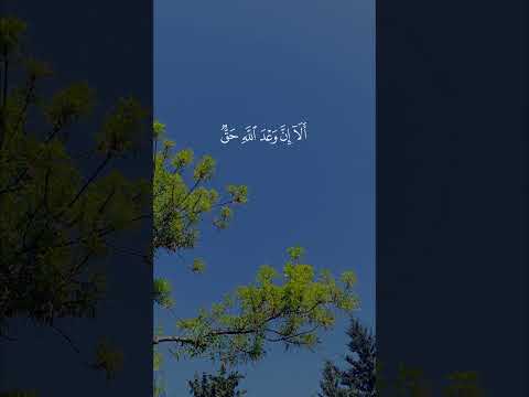 القارئ عبد الرحمن مسعد سورة يونس القران الكريم آيات قرآنية