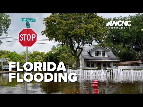 Airport reopens as South Florida flood water slowly recedes - YouTube